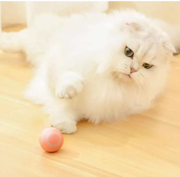 Cat Smart Rolling Ball