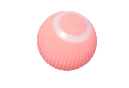 Cat Smart Rolling Ball