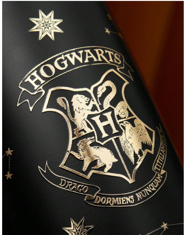 Harry Potter Hogwarts Insulated Cup- 600ml