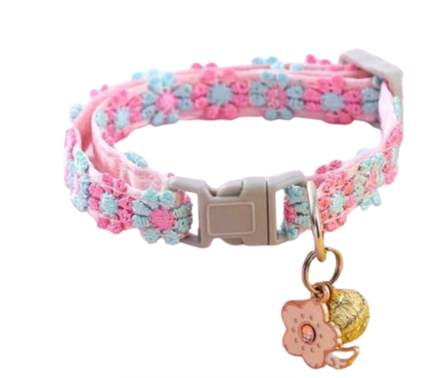 Pet collar embroidered rainbow lace