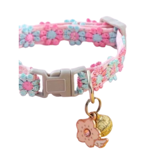 Pet collar embroidered rainbow lace