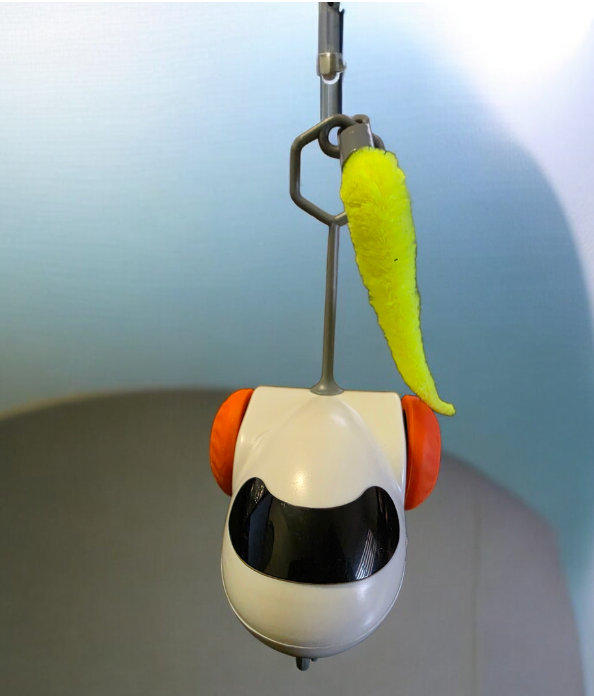 Pet Smart Running Car