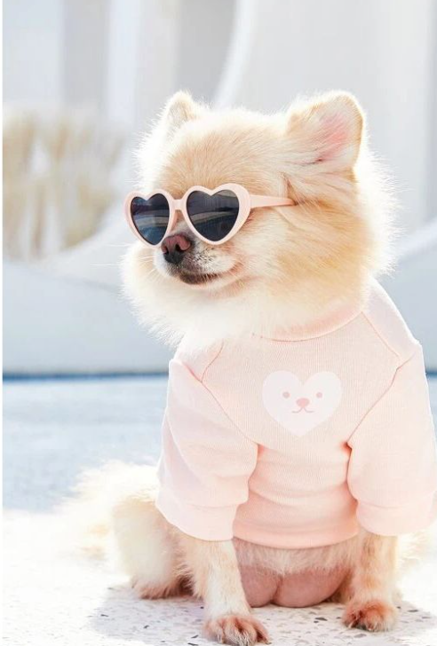 2 Heart Shaped Pet Sunglasses