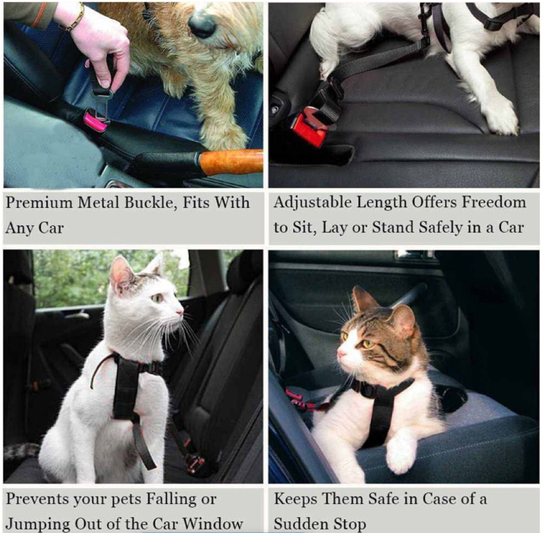 Pet Car Seatbelt Set of 2