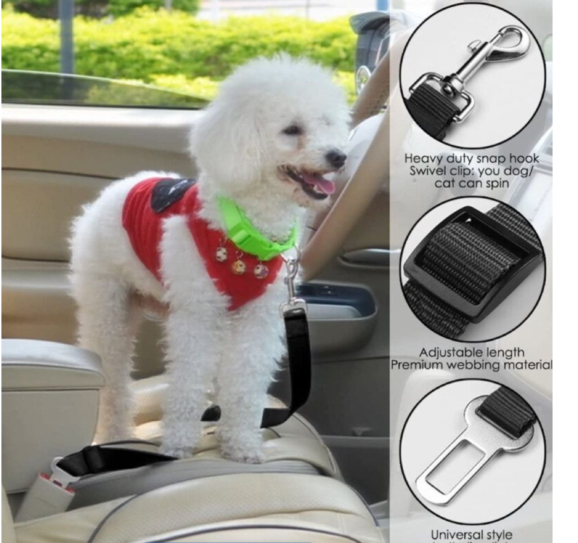 Pet Car Seatbelt Set of 2